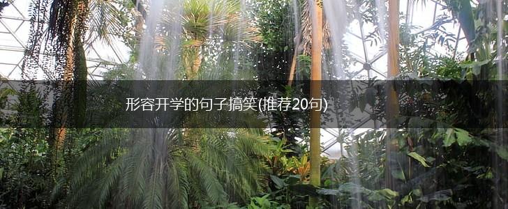 形容开学的句子搞笑(推荐20句),第1张