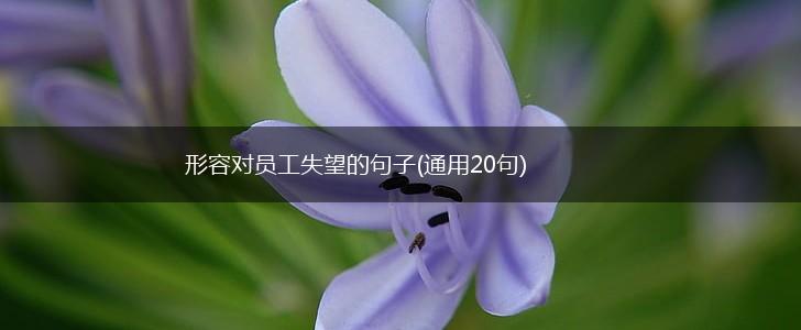 形容对员工失望的句子(通用20句),第1张