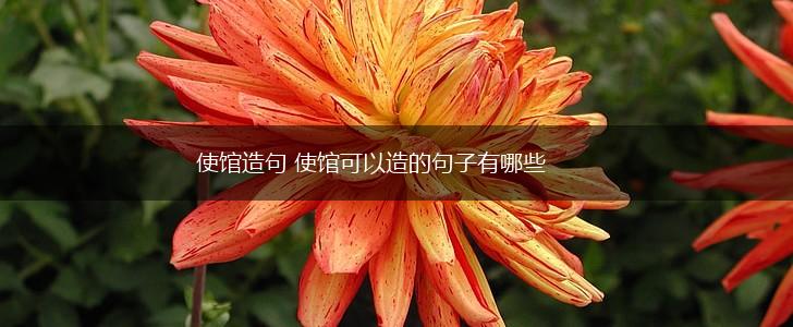 使馆造句 使馆可以造的句子有哪些,第1张 使馆造句 使馆可以造的句子有哪些,第1张