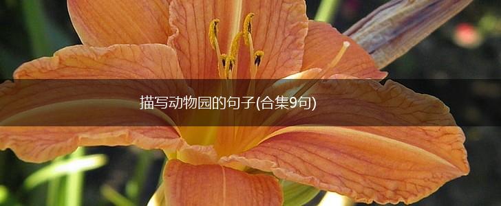 描写动物园的句子(合集9句),第1张