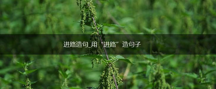 进路造句_用“进路”造句子,第1张 进路造句_用“进路”造句子,第1张