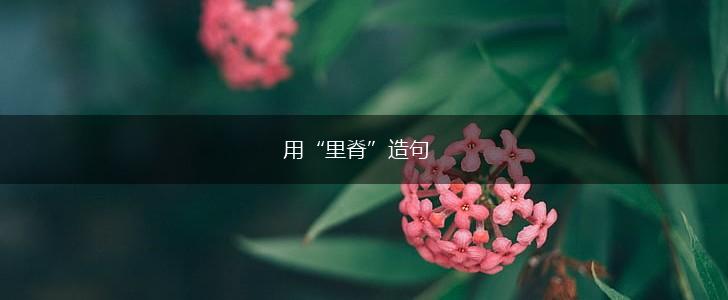 用“里脊”造句,第1张 用“里脊”造句,第1张