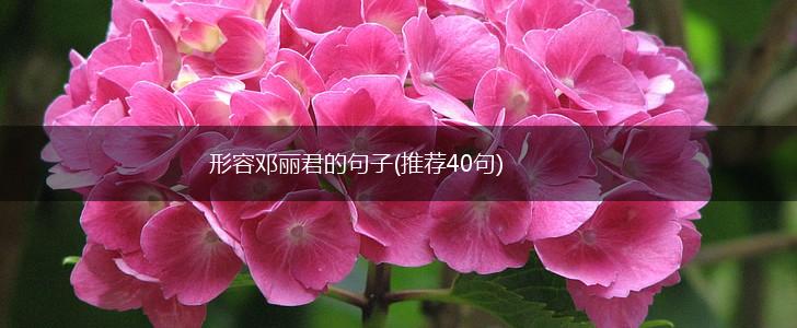 形容邓丽君的句子(推荐40句),第1张