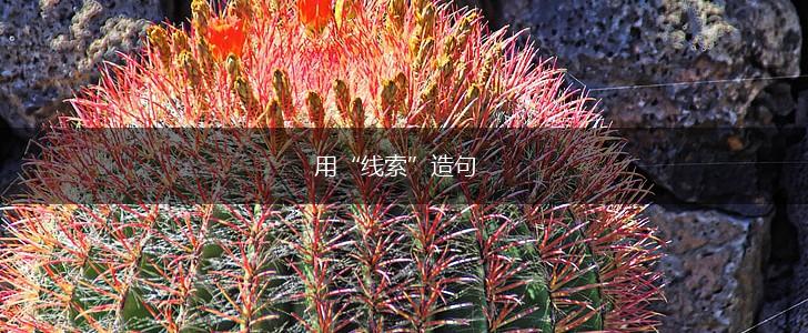 用“线索”造句,第1张 用“线索”造句,第1张