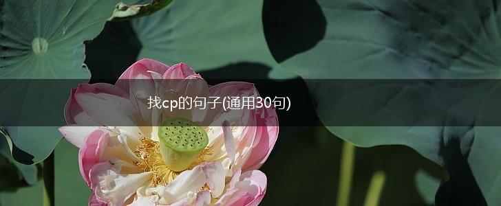 找cp的句子(通用30句),第1张