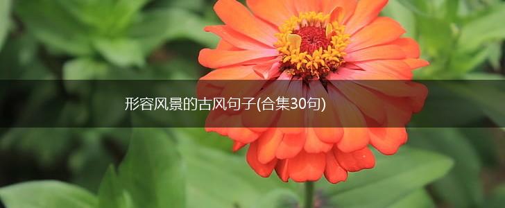 形容风景的古风句子(合集30句),第1张