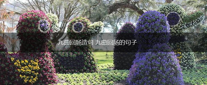 九曲回肠造句 九曲回肠的句子,第1张 九曲回肠造句 九曲回肠的句子,第1张