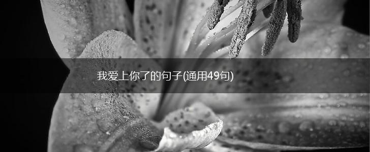 我爱上你了的句子(通用49句),第1张