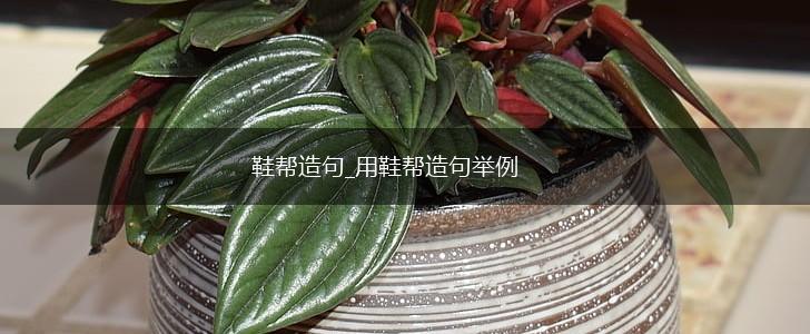 鞋帮造句_用鞋帮造句举例,第1张 鞋帮造句_用鞋帮造句举例,第1张