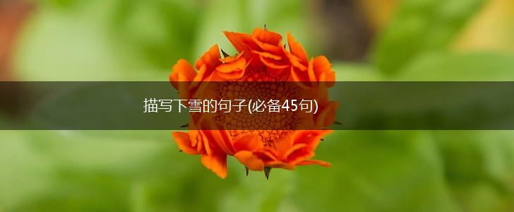 描写下雪的句子(必备45句),第1张