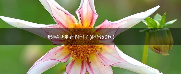 形容很迷茫的句子(必备50句),第1张