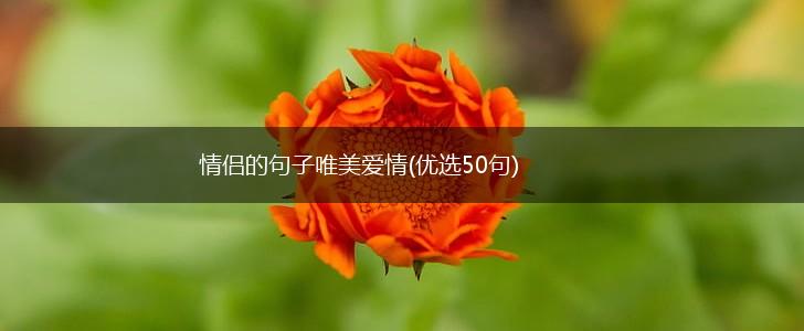 情侣的句子唯美爱情(优选50句),第1张