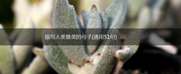 描写人美景美的句子(通用51句),第1张