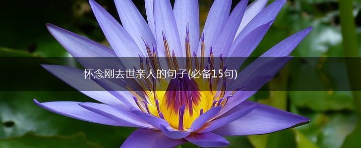 怀念刚去世亲人的句子(必备15句),第1张