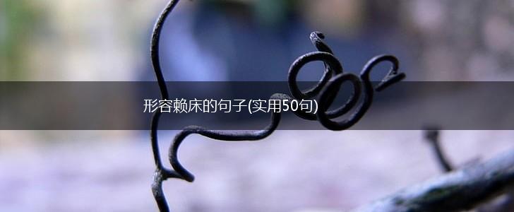 形容赖床的句子(实用50句),第1张