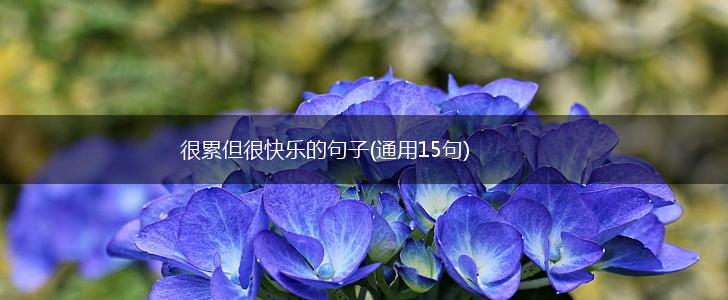 很累但很快乐的句子(通用15句),第1张