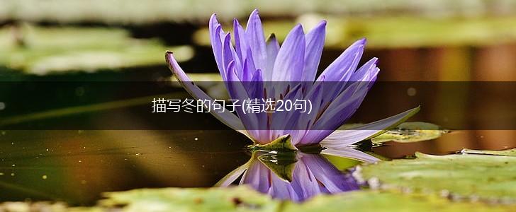 描写冬的句子(精选20句),第1张