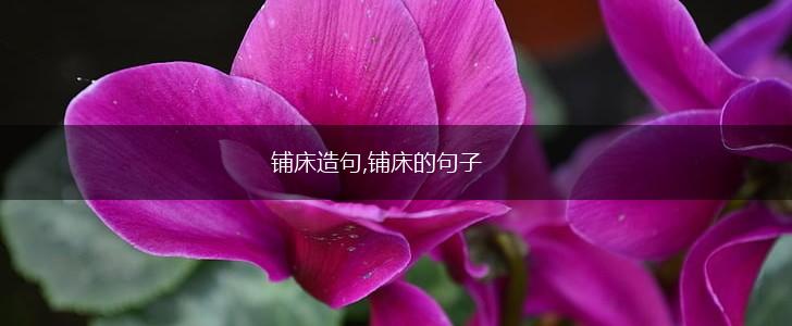 铺床造句,铺床的句子,第1张 铺床造句,铺床的句子,第1张