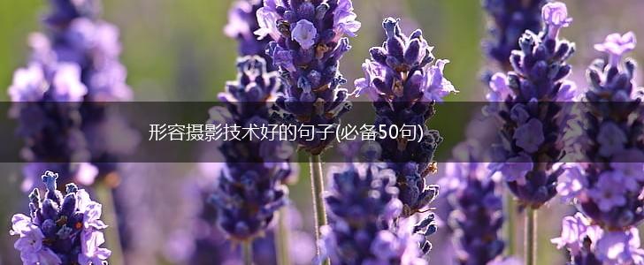 形容摄影技术好的句子(必备50句),第1张
