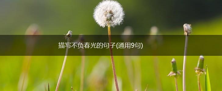 描写不负春光的句子(通用9句),第1张