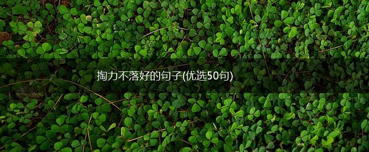 掏力不落好的句子(优选50句),第1张