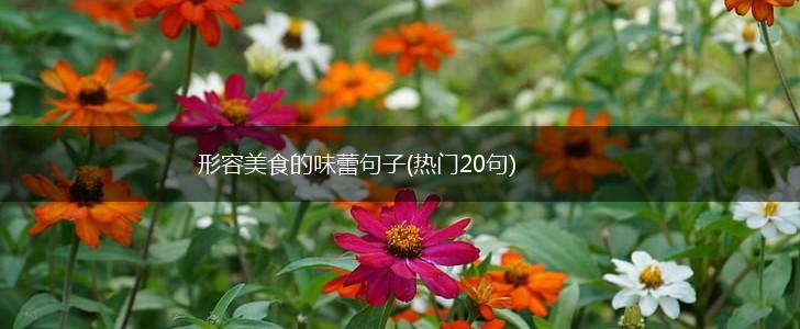 形容美食的味蕾句子(热门20句),第1张