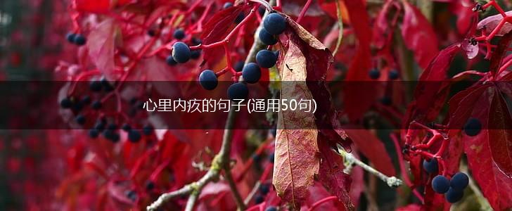 心里内疚的句子(通用50句),第1张