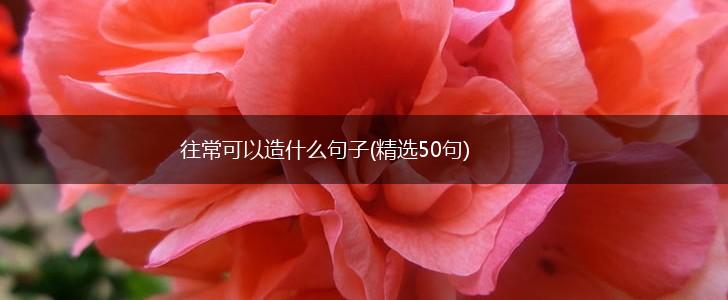 往常可以造什么句子(精选50句),第1张