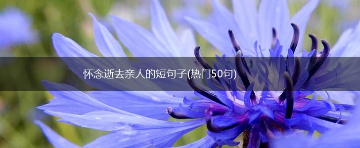 怀念逝去亲人的短句子(热门50句),第1张