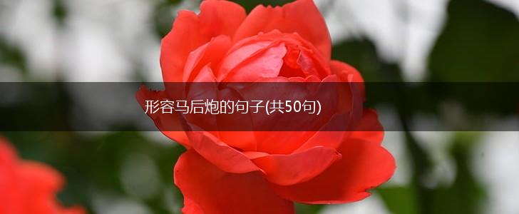 形容马后炮的句子(共50句),第1张