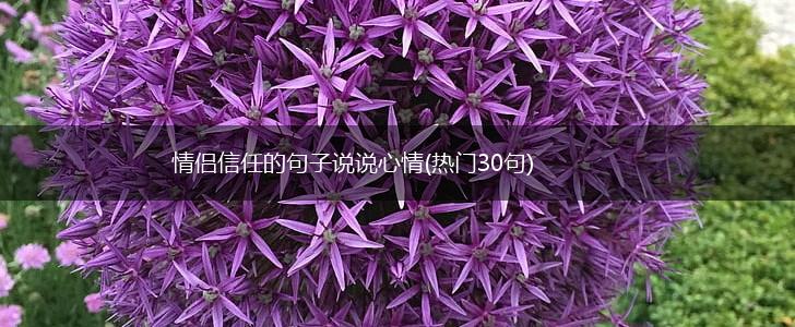 情侣信任的句子说说心情(热门30句),第1张