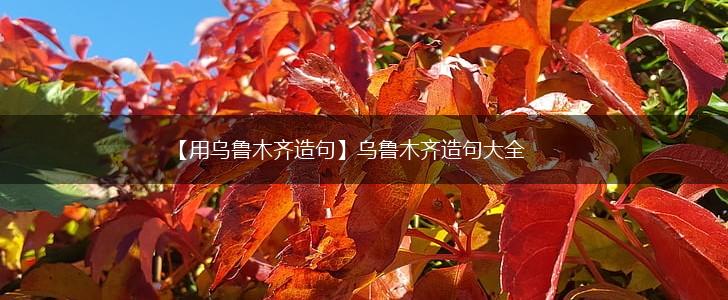 【用乌鲁木齐造句】乌鲁木齐造句大全,第1张 【用乌鲁木齐造句】乌鲁木齐造句大全,第1张