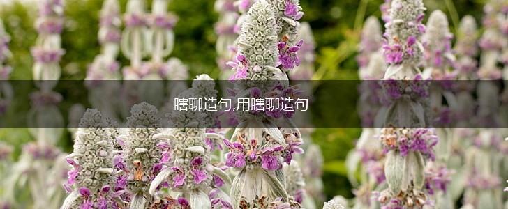 瞎聊造句,用瞎聊造句,第1张 瞎聊造句,用瞎聊造句,第1张