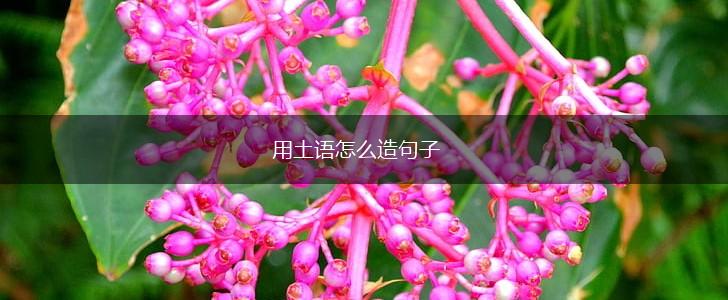 用土语怎么造句子,第1张 用土语怎么造句子,第1张