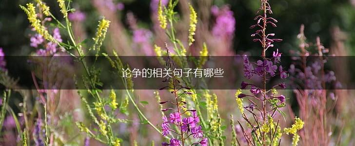 论争的相关句子有哪些,第1张 论争的相关句子有哪些,第1张
