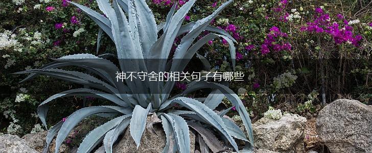 神不守舍的相关句子有哪些,第1张 神不守舍的相关句子有哪些,第1张