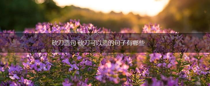 砍刀造句 砍刀可以造的句子有哪些,第1张 砍刀造句 砍刀可以造的句子有哪些,第1张
