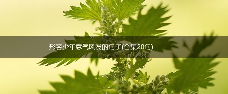 形容少年意气风发的句子(合集20句),第1张