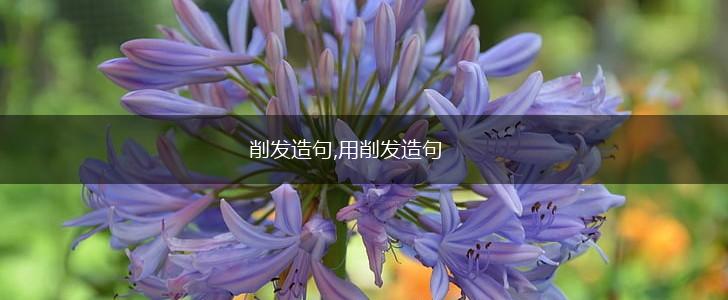 削发造句,用削发造句,第1张 削发造句,用削发造句,第1张