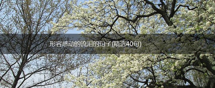 形容感动的流泪的句子(精选40句),第1张