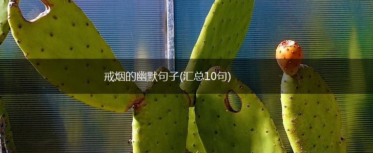 戒烟的幽默句子(汇总10句),第1张