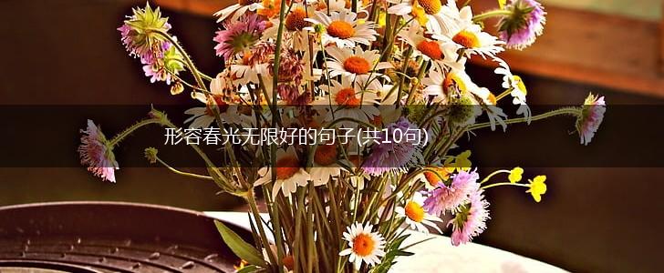 形容春光无限好的句子(共10句),第1张