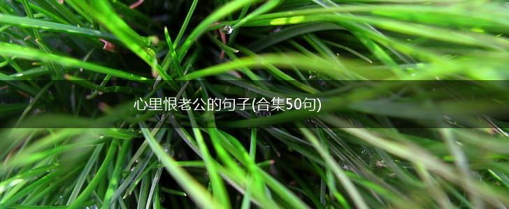 心里恨老公的句子(合集50句),第1张
