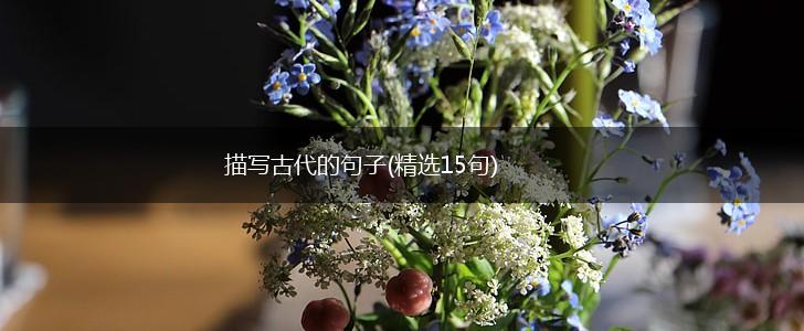描写古代的句子(精选15句),第1张