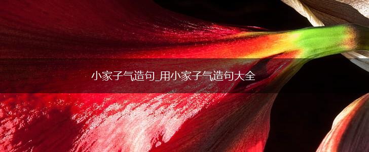 小家子气造句_用小家子气造句大全,第1张