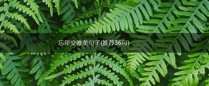 忘年交唯美句子(推荐36句),第1张