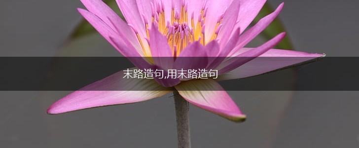 末路造句,用末路造句,第1张 末路造句,用末路造句,第1张