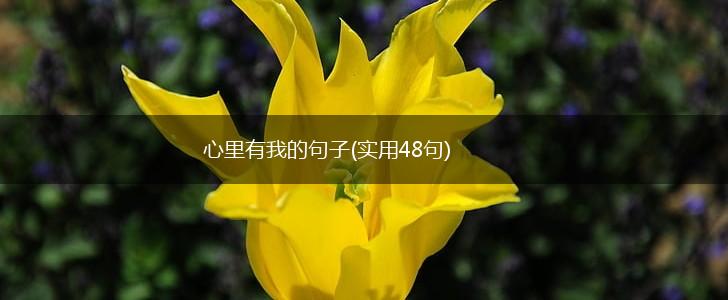 心里有我的句子(实用48句),第1张