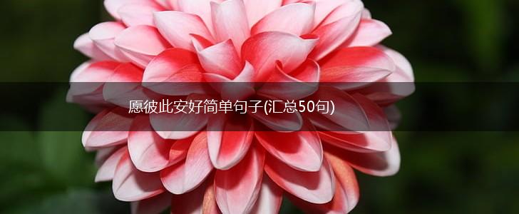 愿彼此安好简单句子(汇总50句),第1张