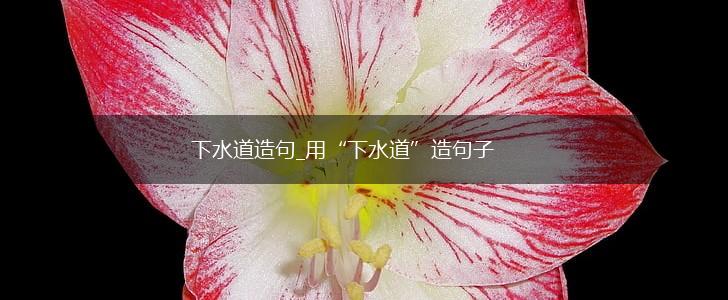 下水道造句_用“下水道”造句子,第1张 下水道造句_用“下水道”造句子,第1张